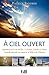 A Ciel ouvert: Apparitions de la rue du Bac, La Salette, Lourdes et Fatima - Nouvelle approche au regard de la Bible et de l'Histoire (French Edition) by 