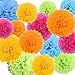 Livder Paper Flowers Bright Colorful Tissue Paper Pom Poms for Party Birthday Wedding Christmas Festive Decorations, 15 Pieces of 10, 12, 14 Inch