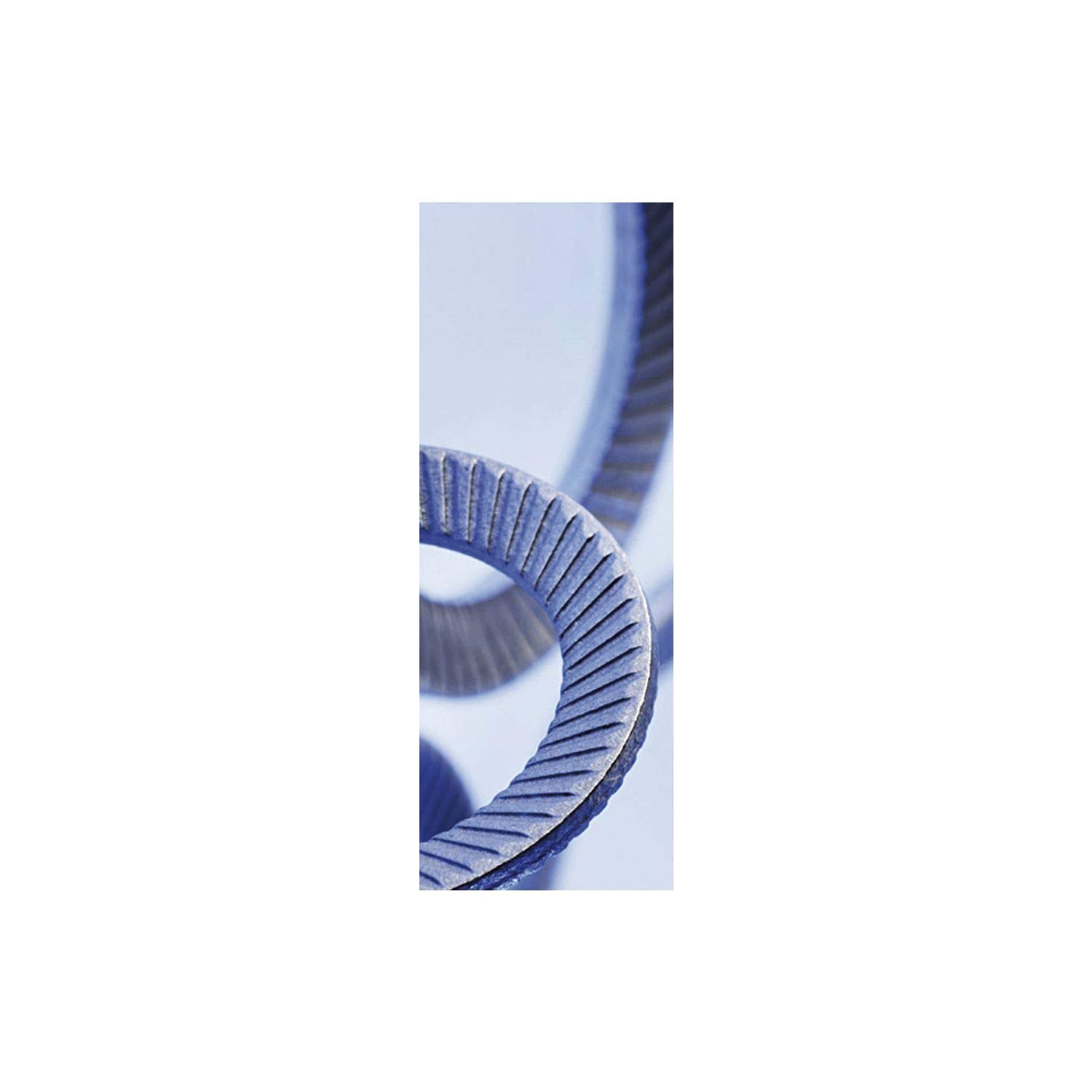 SCHNORR 881200140300000 Locking Disc S M30 Spring Steel Mechanically Galvanised Silver
