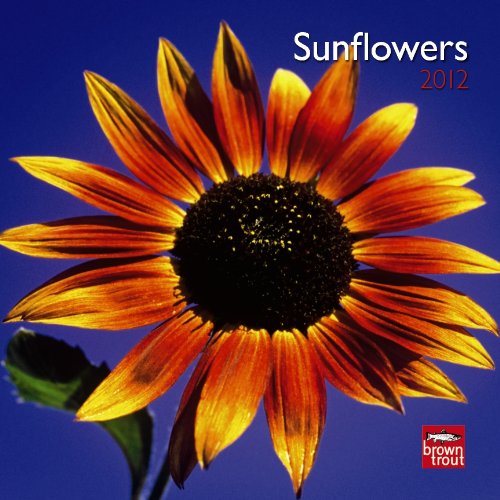 Sunflowers 2012 7X7 Mini Wall Calendar