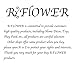 R.FLOWER 10PCS Random Jumbo Soft Squishy Cream Scented Slow Rising Kawaii Simulation Bread Children Toy Medium Mini Squishies Cake/Panda/Bread/Buns Phone Straps