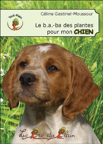 Le  b-a ba des plantes pour mon chien