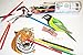 ColoritPRO Best Watercolor Colored Pencils, Great Color Selection & Named Drawings! Presharpened Colorful Leads In This No Brush Needed Coloring Set! Gift Travel Case & Sturdy Storage!