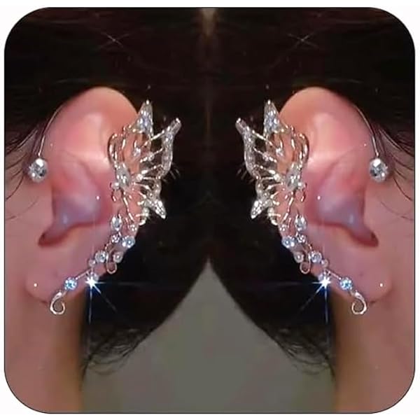 Amazon.com: 2PCS Butterfly Tassel Zircon Earrings