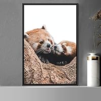 Framed Canvas Wall Art Red Panda Animals Expressive Koala Living Room Multicolor Photography Tropical - 16x24 inches