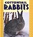 Cottontail Rabbits (Pull Ahead Books) by Kristin Ellerbusch Gallagher