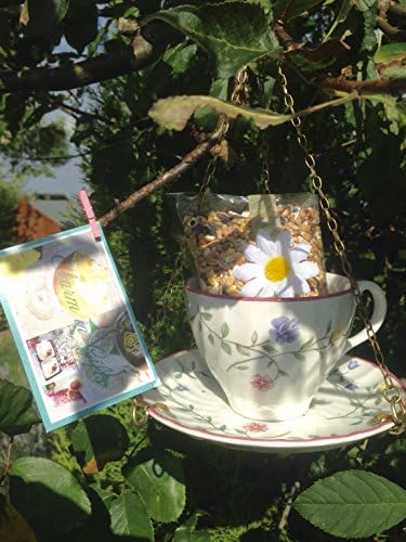 Tea cup bird feeder, china bird feeder, cup bird feeder, china bird feeder, garden decor, garden ornament, gardeners gift, Fathers Day gift