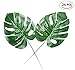 Fake Faux Artificial Tropical Palm Leaves for Home Kitchen Party Decorations or Handcrafts 24 Counts