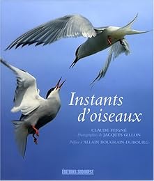 Instants d'oiseaux