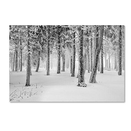 Trademark Fine Art PSL0465-C2232GG Frozen World by Philippe Sainte-Laudy, 22x32…