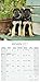 German Shepherd Calendar 2017 - Dog Breed Calendars - 2016 - 2017 wall calendars - 16 Month by Avonside