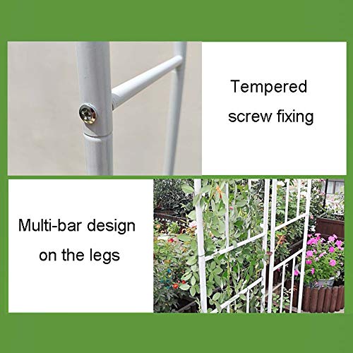 GEREP Selbstversammlung Eisen Rosenbogen Torbogen Gartenbogen, für Kletterpflanzen und Rosen, Witterungsbeständig/golden / W1.8×H2.4m – Bild 5