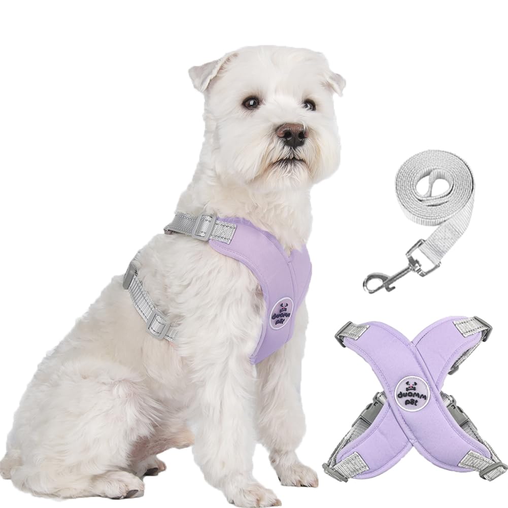 FEimaX No Pull Dog Harness and Lead Set for Small Medium Dogs Adjustable Step-in Pet Vest Harness Reflective Breathable Soft Mesh Padded Puppy Harnesses for Outdoor Walking Training — image 1