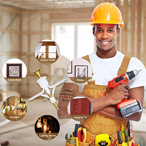 Drywall Anchor Kit Drywall and HollowWall Anchor Assortment Kit, for