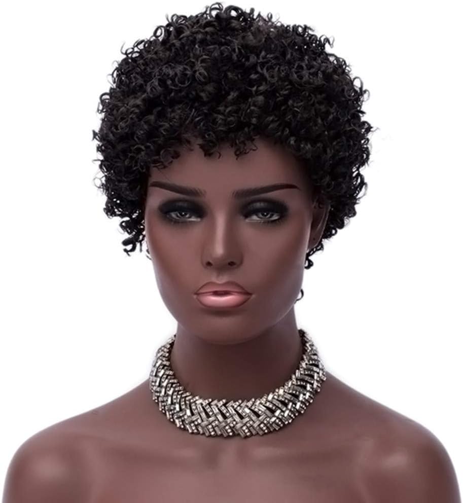 ELIM Short Afro Wigs for Black Women 10'' Kinky Curly Hair Wigs Natural Black Wigs Super Lightweight with Wig Cap Z171
