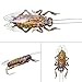 Fly Fishing Flies Realistic Dry Wet Nymph Trout Flies Hand Tie Lures Kits 12/26/48 Pcs (4-Cicada kit 12pcs)