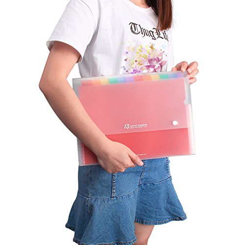 HJSMing 13 Pockets Portable File Folders/Rainbow Folder Organizer/Expandable Plastic Folders/A4 Letter Size File Organizer with Buttons-for School Office Supplies