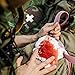 Risen Small First Aid Kit, Medical-Grade Emergency Survival Kit Waterproof FDA ISO OSHA Approvals for Camping Hiking Home Backpacking Travel Outdoors (43 Pcs)