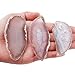 mookaitedecor Polished Agate Light Table Slices,Geode Agate Slab Cards Pack of 12