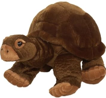 tortoise cuddly toy