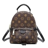 Olyphy Designer Mini Leather Backpack Purse for Women, Fashion Small Shoulder Purse Handbag (Brown)