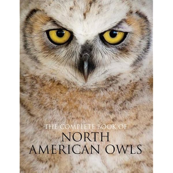 洋書 Jeffrey Whiting's Owls of North America Amazon.com: Jeffrey Whiting's Owls of North America (Whiting's