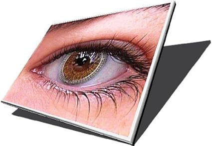 Samsung NP-N130 LCD-Bildschirm (matt, 25,65 cm (10,1 Zoll), LED-Hintergrundbeleuchtung)