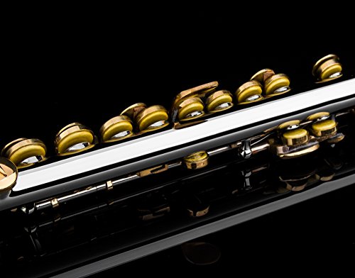 Glory Key of C Piccolo with Case, Joint Grease, Cleaning Cloth and Rod, and Gloves, Silver/Gold keys ~ More COLORS Available ! CLICK on LISTING to SEE All Colors - Thumbnail 5