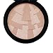 TraveT Beverly Hills Illuminator Brow Powder