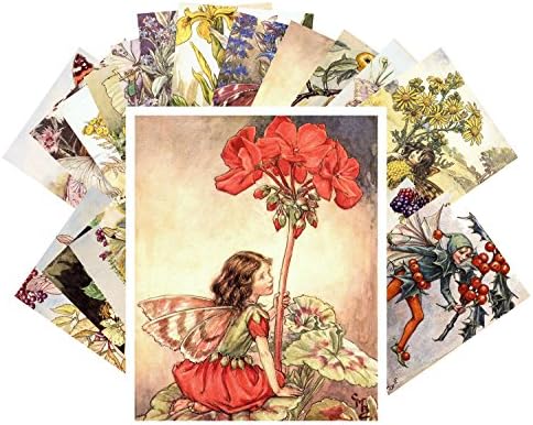 Flower-Fairies Postcard Book: Barker, Cicely Mary: 9780723247623