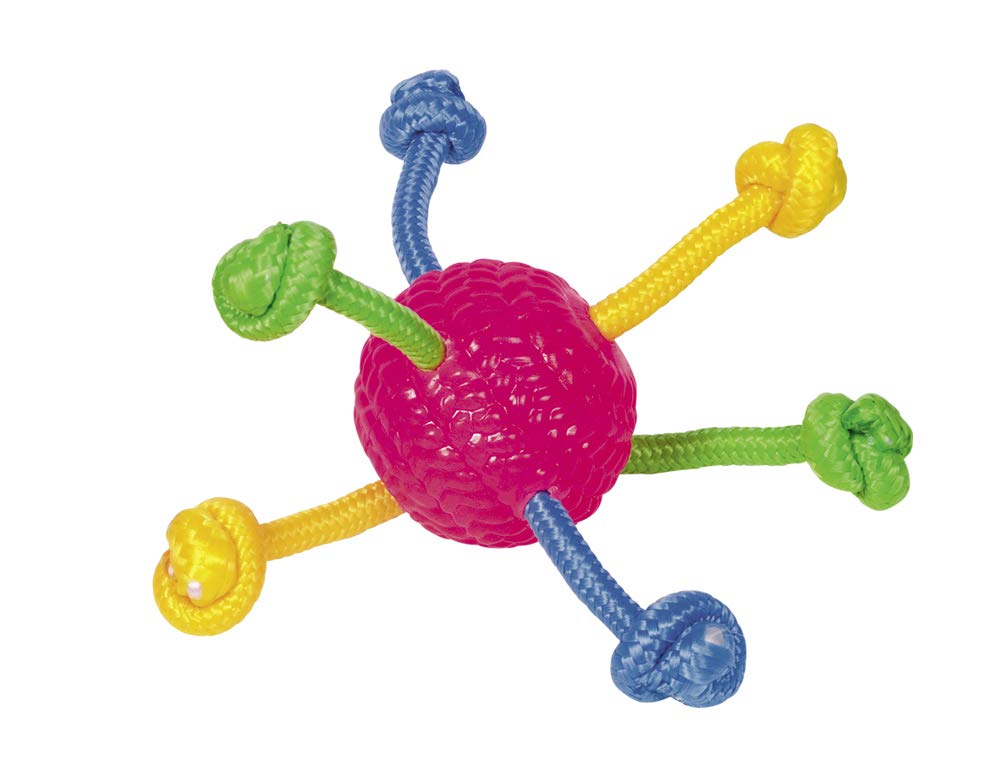 Nobby 60031 Tpr Ball with Rope