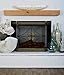 Deco 79 Metal Fire Screen, 60 by 32-Inch