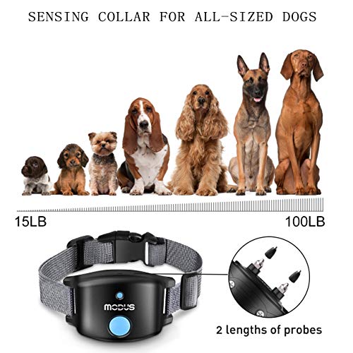 shock collar to stop pulling