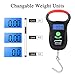 MadBite Portable Fishing Hook Hanging Digital Scale with Tape Measure (Digital Scale)