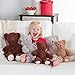 Vermont Teddy Bear - Amazon Exclusive Cuddly Soft Teddy Bear, Floppy 13-inches, Earl Grey