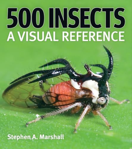 Amazon.com: Encyclopedia of Insects: 9780123741448: Resh, Vincent