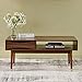 Teamson Home Dawson 40 in. x 21.63 in. Wooden Mid-Century Modern Coffee Table with Drawer and Shelf, Walnut with Brass Leg Tips