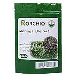 100 Moringa Also Known as drumstick Tree Moringa Organic Seeds ~ Chris's Garden