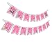 Kitty Cat Pink Kitten Happy Birthday Party Banner Decoration (Includes 23ft Ribbon)