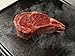 Baking Steel Griddle, 14 
