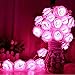 Avanti 20 Led Battery Operated Romantic String Rose Flower Fairy Lamp Light Outdoor for Valentine's Day, Christmas, Wedding, Room, Garden, Patio, Party Festival Decor (Hot Pink)
