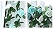 Meiliy 2 Pcs 8.2 FT Fake Rose Vine Flowers Plants Artificial Flower Home Hotel Office Wedding Party Garden Craft Art Decor, Blue