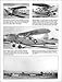 L-Birds: American Combat Liaison Aircraft of World War II