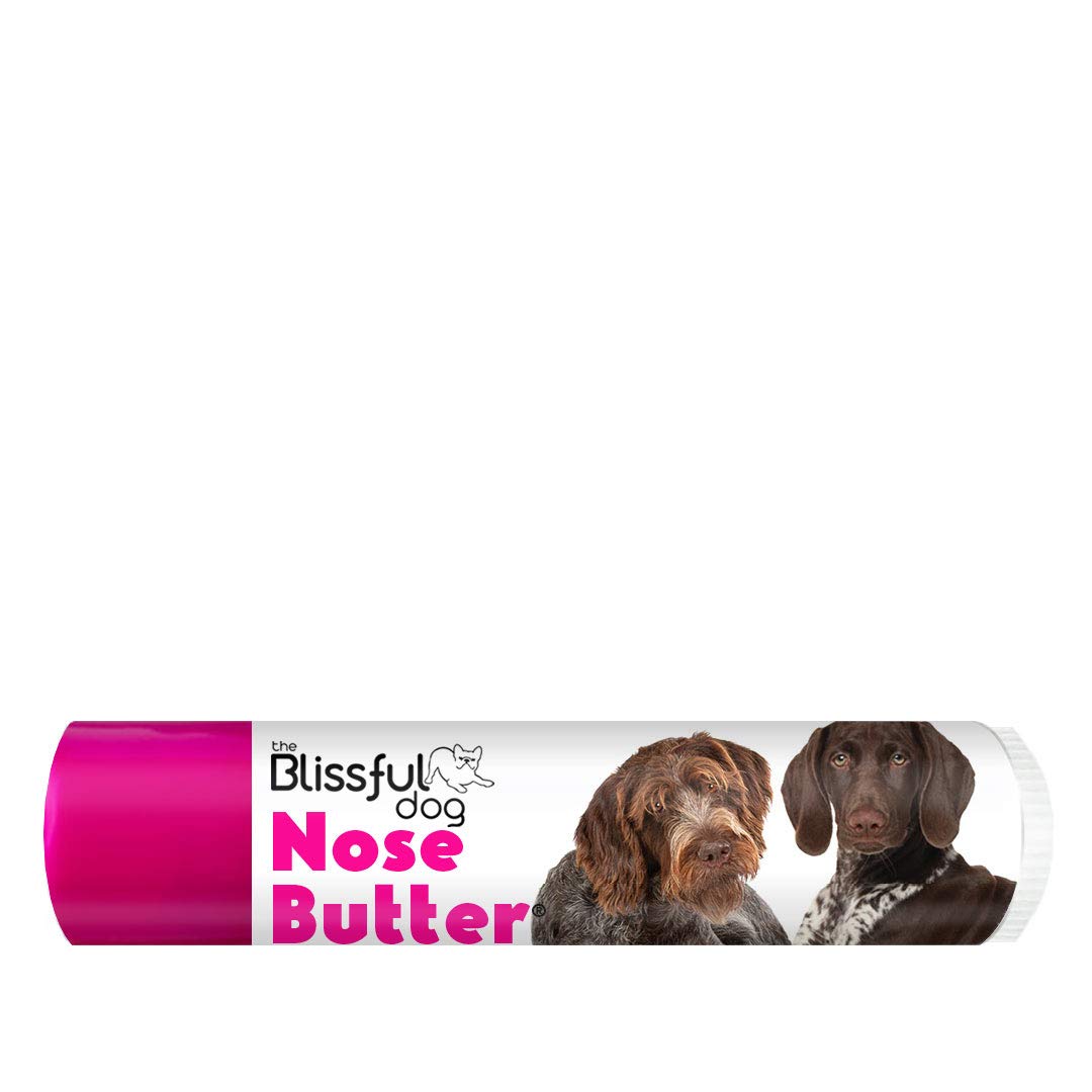Buy The Blissful Dog Unsc 15oz Gersho German Shorthaired Pointer