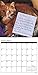 Cat Shaming 2017 Wall Calendar