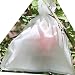 AllwaySmart 100 Reusable Fruit Protection Bags from Birds Bugs and Flies. 7 x 9 1/2 Inches May Not Work with Determined Squirrels