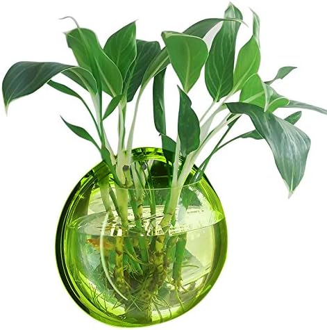 New Pcx1 Home Decoration Pot Plant Wall Mounted Hanging Bubble Bowl Fish Tank Aquarium "Green 29.5cm"Set03