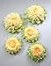 Heart to Heart Paper Flower Pom (Set of 7) Color: Yellow