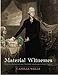 Material Witnesses: Domestic Architecture and Plantation Landscapes in Early Virginia by
