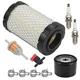 Harbot D125 MIU14395 Air Filter for John Deere D100 D105 D125 D130 D140 D110 E140 E130 E100 E120 LA145 LA135 Z255 Z235 X330 Lawn Tractor with Tune Up Kit (Two Cylinder Engine)
